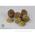 Walnut Kernel Light Amber Halves (lah) dari Yunnan